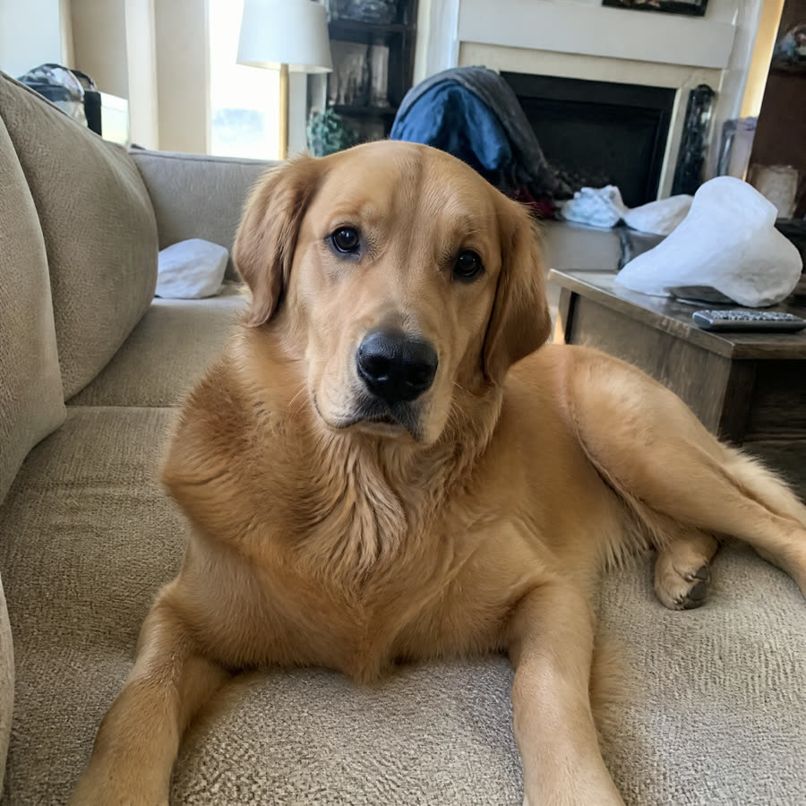The photo we started from (itself AI-generated for this demo)